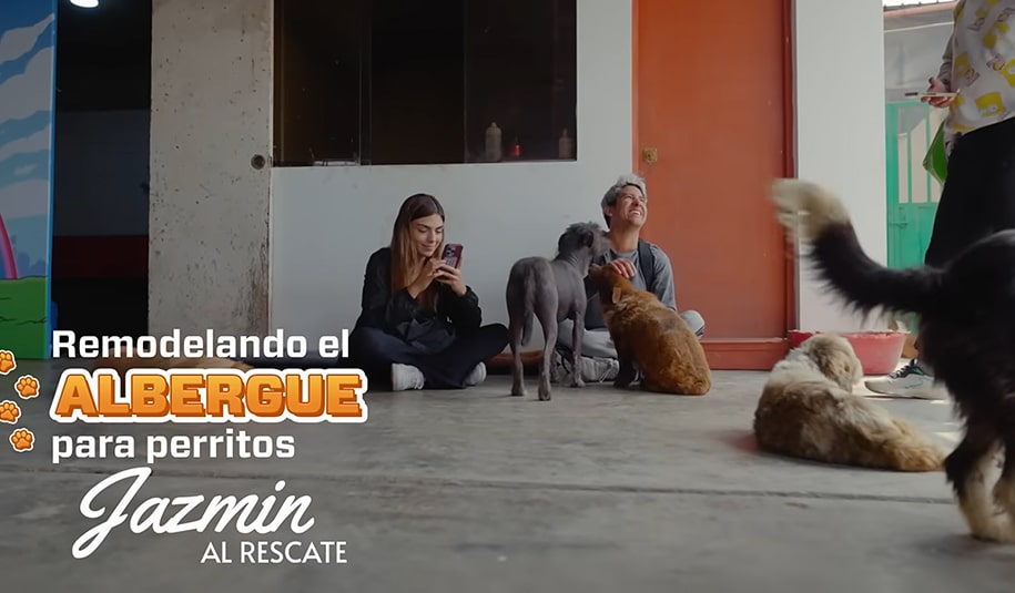 albergue video veredas